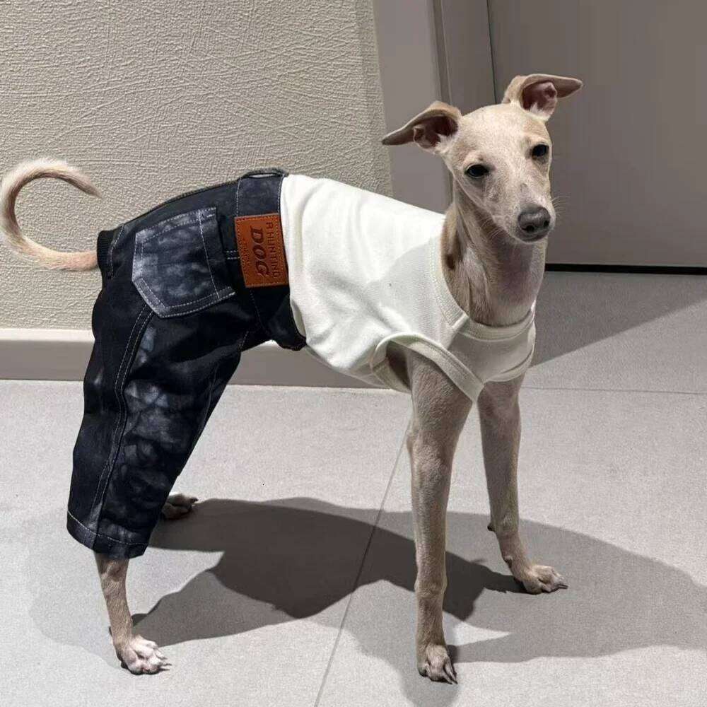 Famous brand Clothing Dogs One piece Spring Cotton Denim Jumpsuit High stretch T shirt Pant for Italian Greyhound Poodle Green Costumes pupakaIK