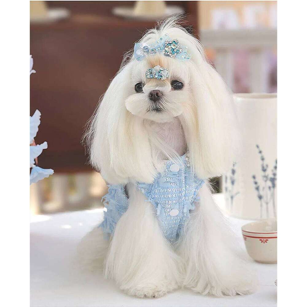 High-End Custom Blue Wool Pearl Collar Pet Dress For Small Dogs H260129