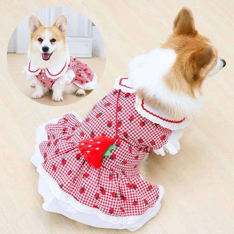 Strawberry Plaid Dog Dress - Summer Spring Small Medium Pet Apparel H260129