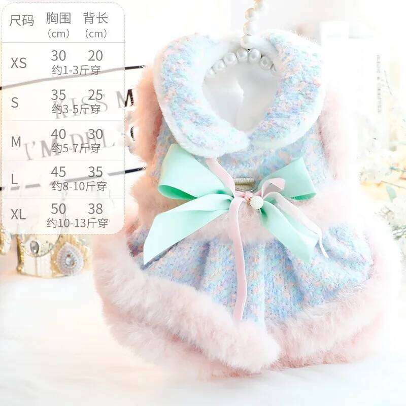 Clothing Winter Thickened Cat Princess Dress Color Tow Double-layer Skirt Fashion Design Warm Dog Coat H260129