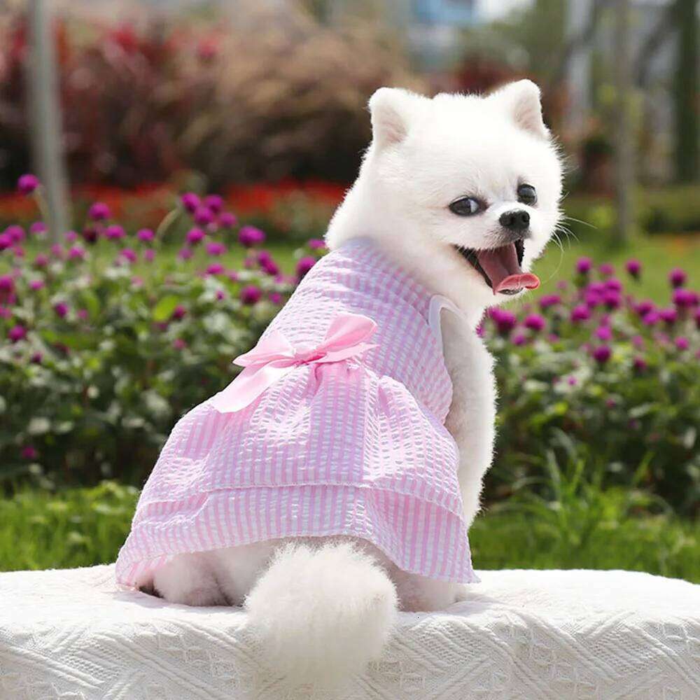 Cute Dog Dresses Small Dogs Puppy Clothes Summer Princess Pet Dress Girl Female Doggy Tutu Skirt Apparel for Pup Cat Outfit H260130