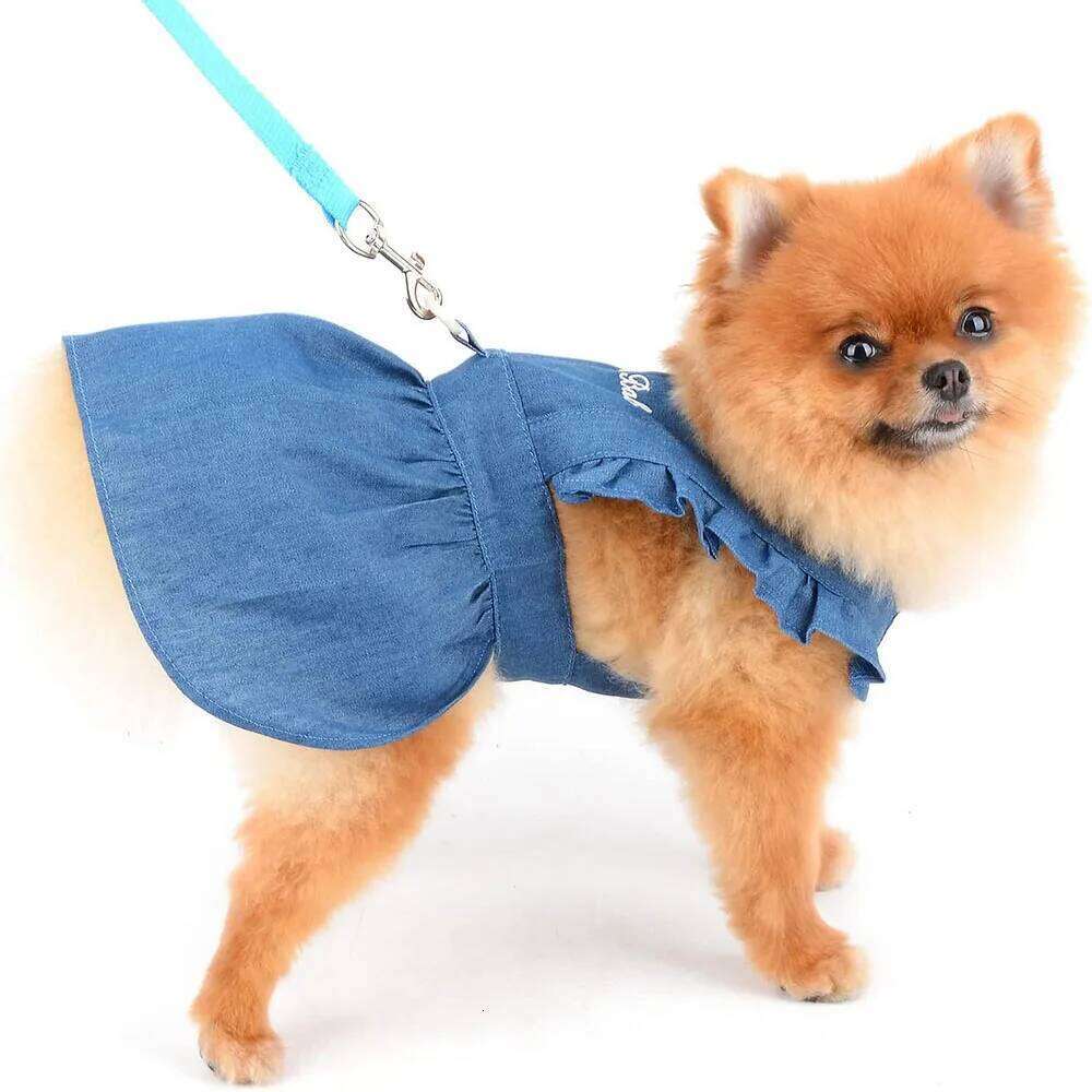 Denim Dresses Small Dogs Cats Cute Girl Dog Clothes Female Pet Dress Summer Puppy Outfits for Chihuahua Yorkie Shih Tzu H260130