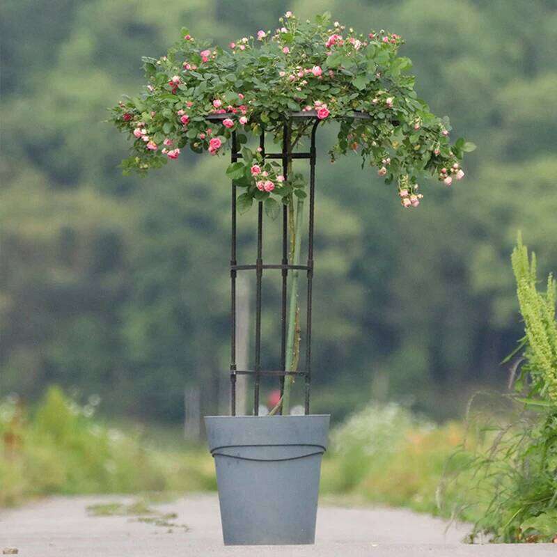 Garden Umbrella Tower Plant For Plants Support DIY Climbing Trellis Flower Pots Supports W260130