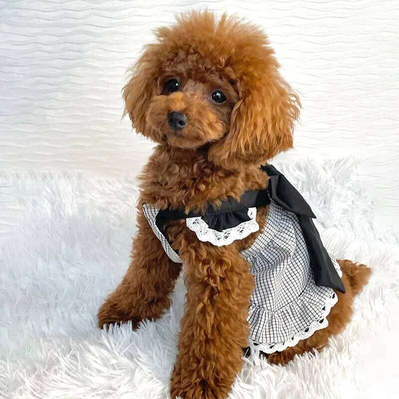 Plaid Ruffle Dresses with Big Bow Teddy Chihuahua Maltese Cat Outfits Medium Dog Clothes H260129