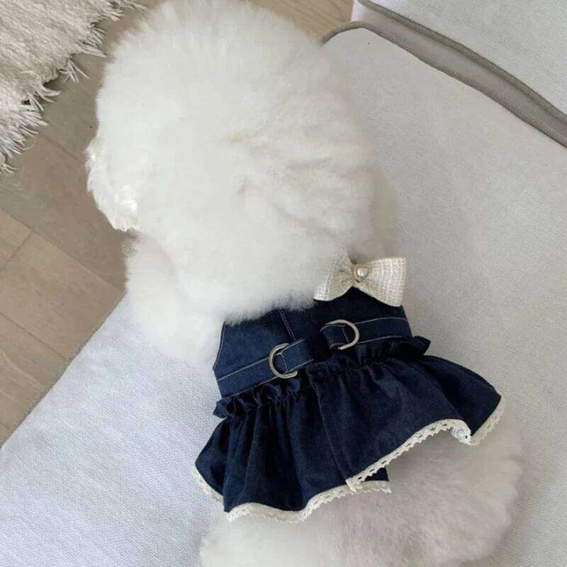 Fashion Denim Skirt Spring Summer Couples Dog Teddy Dress Puppy Breathable Clothes with Bow Pearl Applique H260129