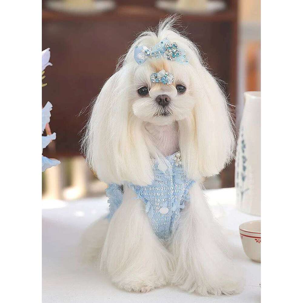 High-End Custom Blue Wool Pearl Collar Pet Dress For Small Dogs H260129