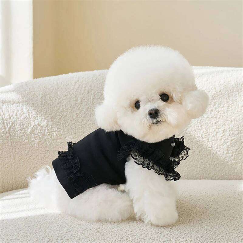 Black Lace Ruffle Shirt for Small Dog Girl Dresses Cat Dress Puppy Outfits Size XS-XL Chihuahua Clothes H260129