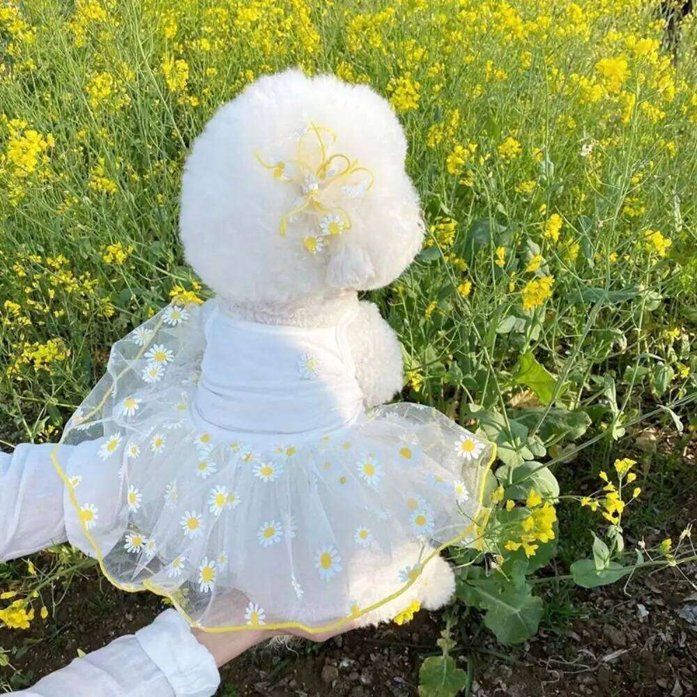 Sweet Cute Dog Dresses Sleeveless Princess Dress Pet Clothes XS-XL Strawberry Daisy Pattern Cat Skirts Summer H260130