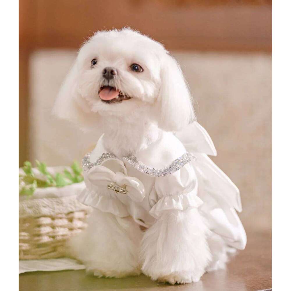 White Luxury Diamond-Studded Shiny Pet Wedding Dress With Classic Design For A Little Dog'S Outfit H260130