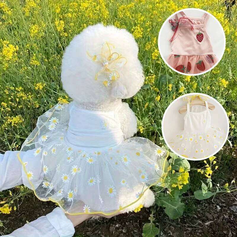 Summer Thin Puppy Princess Skirt Clothes Cute Dog Dress for Small Dogs Chihuahua York Clothing Pet Supplies H260130