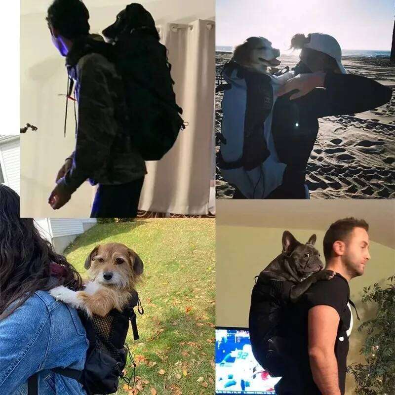 Breathable Adjustable Large Dog Carrier Backpack Durable Outdoor Bag Practical Hiking Pet Supplies For Golden Retriever Bulldog 26H0130