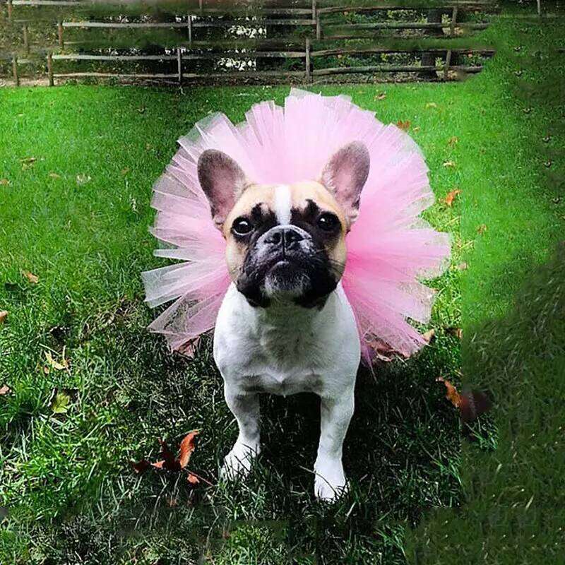 Summer Tutu Skirt Princess Cat Tulle Soft Cosplay Bulldog Dress For Small S M L Coloful Dog Dresse Pet Product H260130