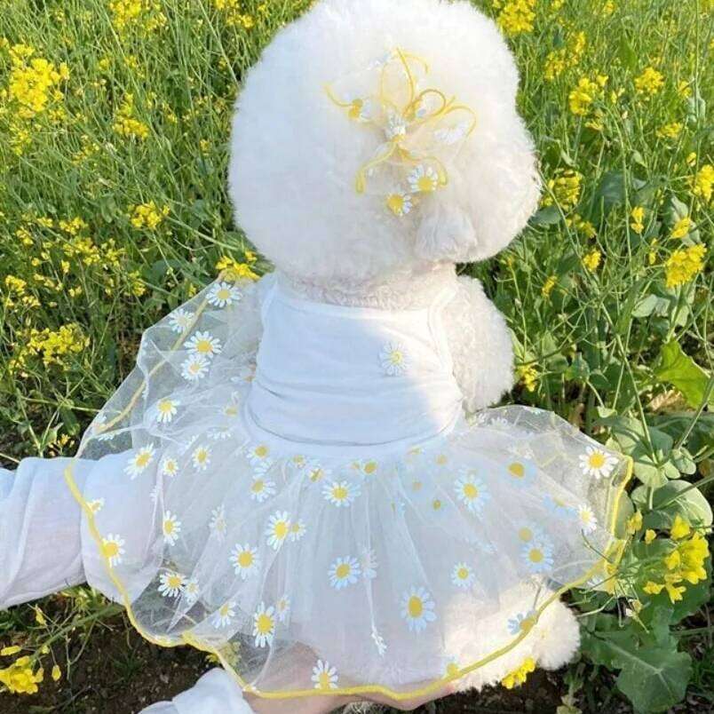 Sweet Cute Dog Dresses XS-XL Princess Dress Pet Clothes Strawberry Daisy Pattern Sleeveless Cat Skirts Daily Wear H260130