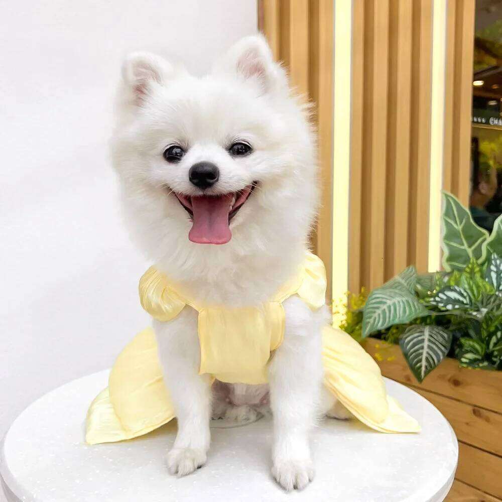 Solid Color Cat Dog Dresses with D-ring for Small Dogs Chihuahua Pomeranian Puppy Summer Pet Clothes vestidos para perritas H260130