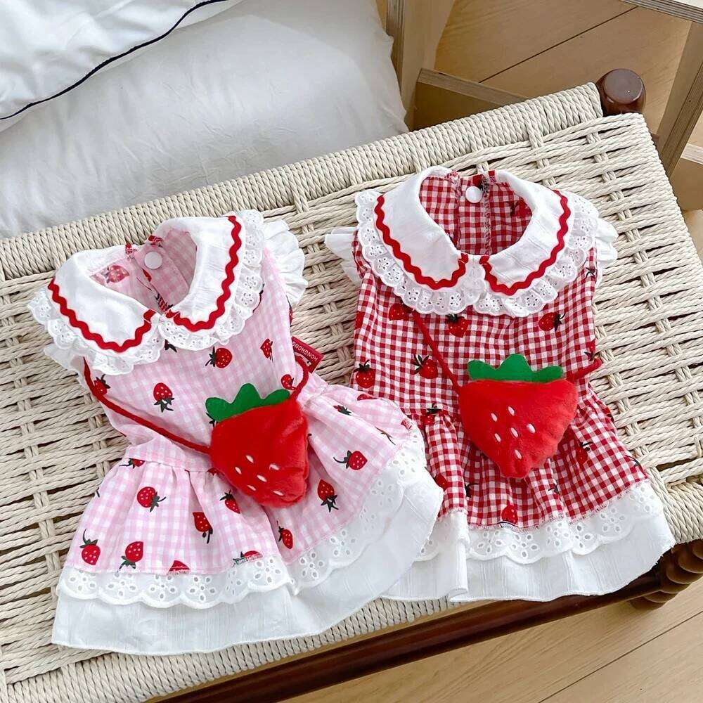 Strawberry Plaid Dog Dress - Summer Spring Small Medium Pet Apparel H260129