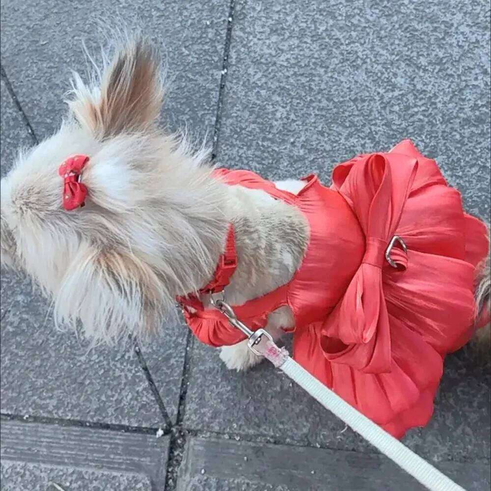 Solid Color Cat Dog Dresses with D-ring for Small Dogs Chihuahua Pomeranian Puppy Summer Pet Clothes vestidos para perritas H260130