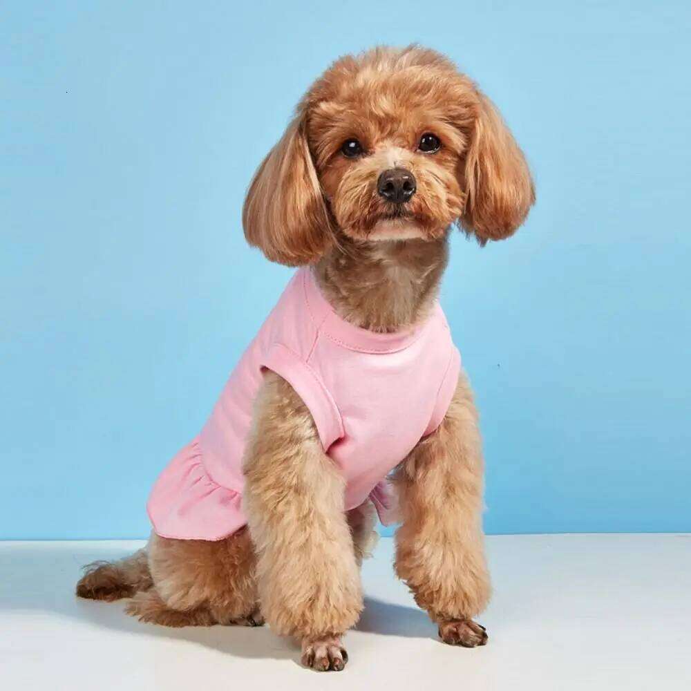 Sleeveless Summer Clothes Breathable Soft Pet Princess Dresses Thin Design Fashionable Cat Skirt For Puppy Small Animal H260130