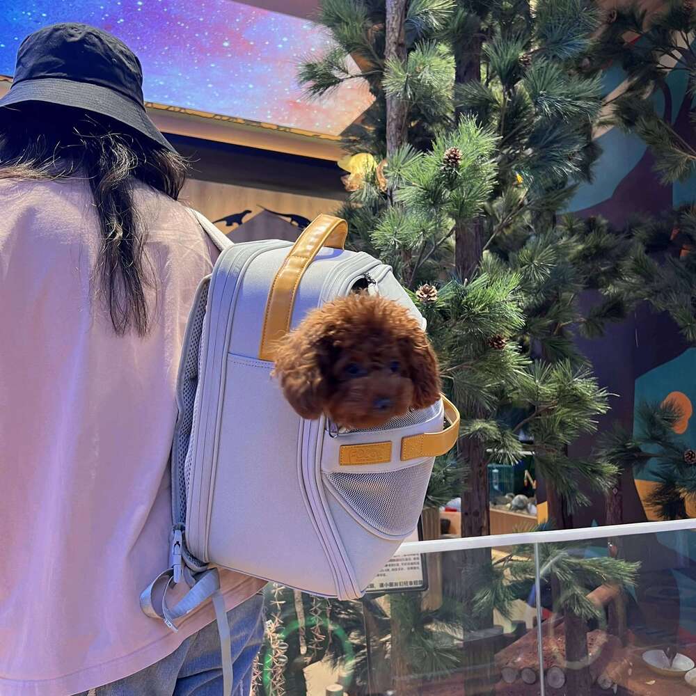 Breathable Dog Carrier Backpack for Small to Medium Dogs And Cats with Head out Design Comfortable Hands-Free Hiking Travel 26H0130