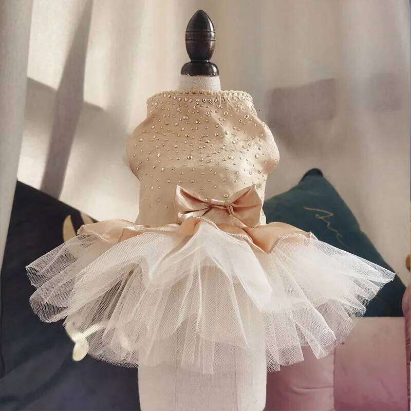 Summer Dress Lace Pet Clothing Chihuahua Tulle Skirt Cat Princess Apparel Cute Puppy Clothes Dog Accessories H260129