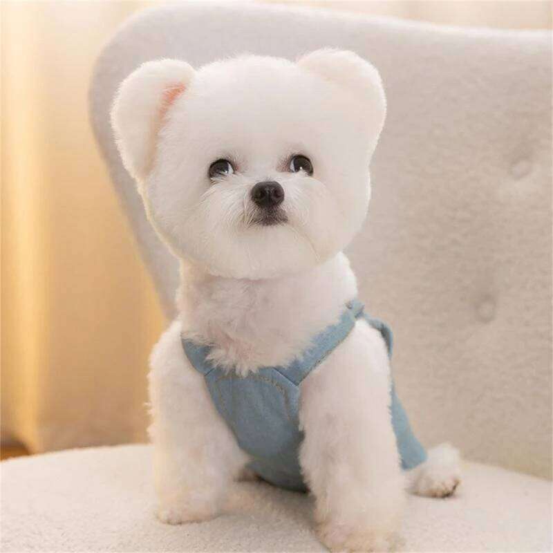 Comfortable Pet Denims Sweet Love Spring Small Dog Clothes Skirt for Outings and Gatherings H260129