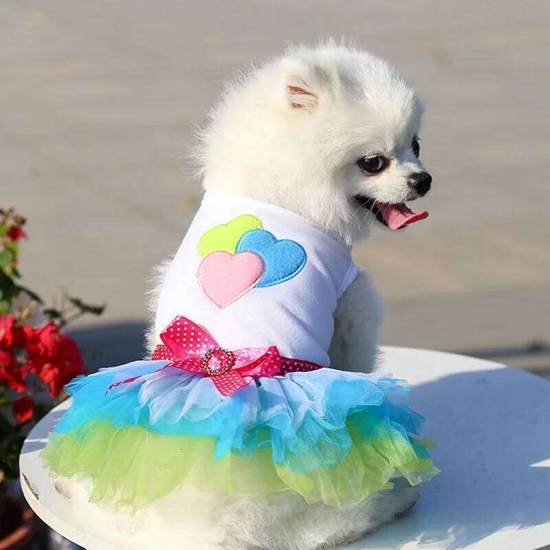 Sweet Princess for Small Dogs Spring Autumn Summer Puppy Lace Tutu Chihuahua Skirt Pet Apparel Dog Dress H260129