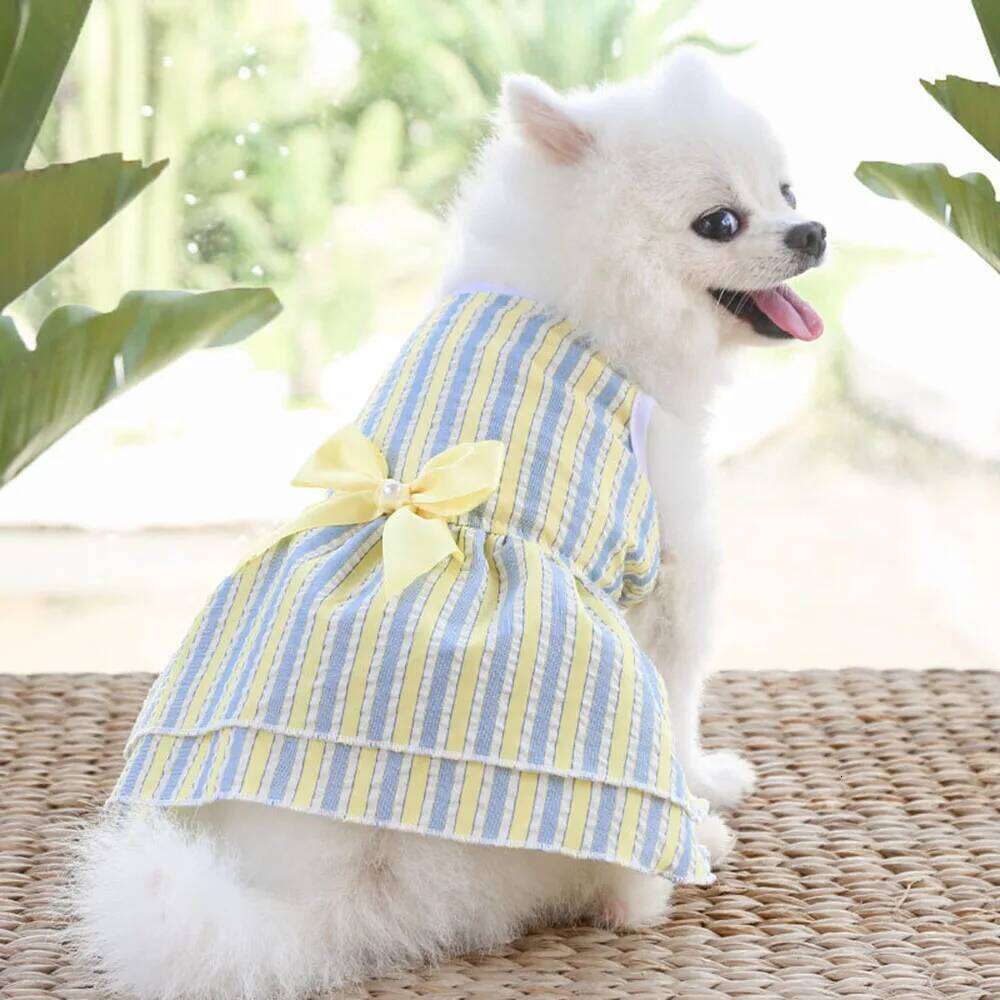 Cute Dog Dresses Small Dogs Puppy Clothes Summer Princess Pet Dress Girl Female Doggy Tutu Skirt Apparel for Pup Cat Outfit H260130