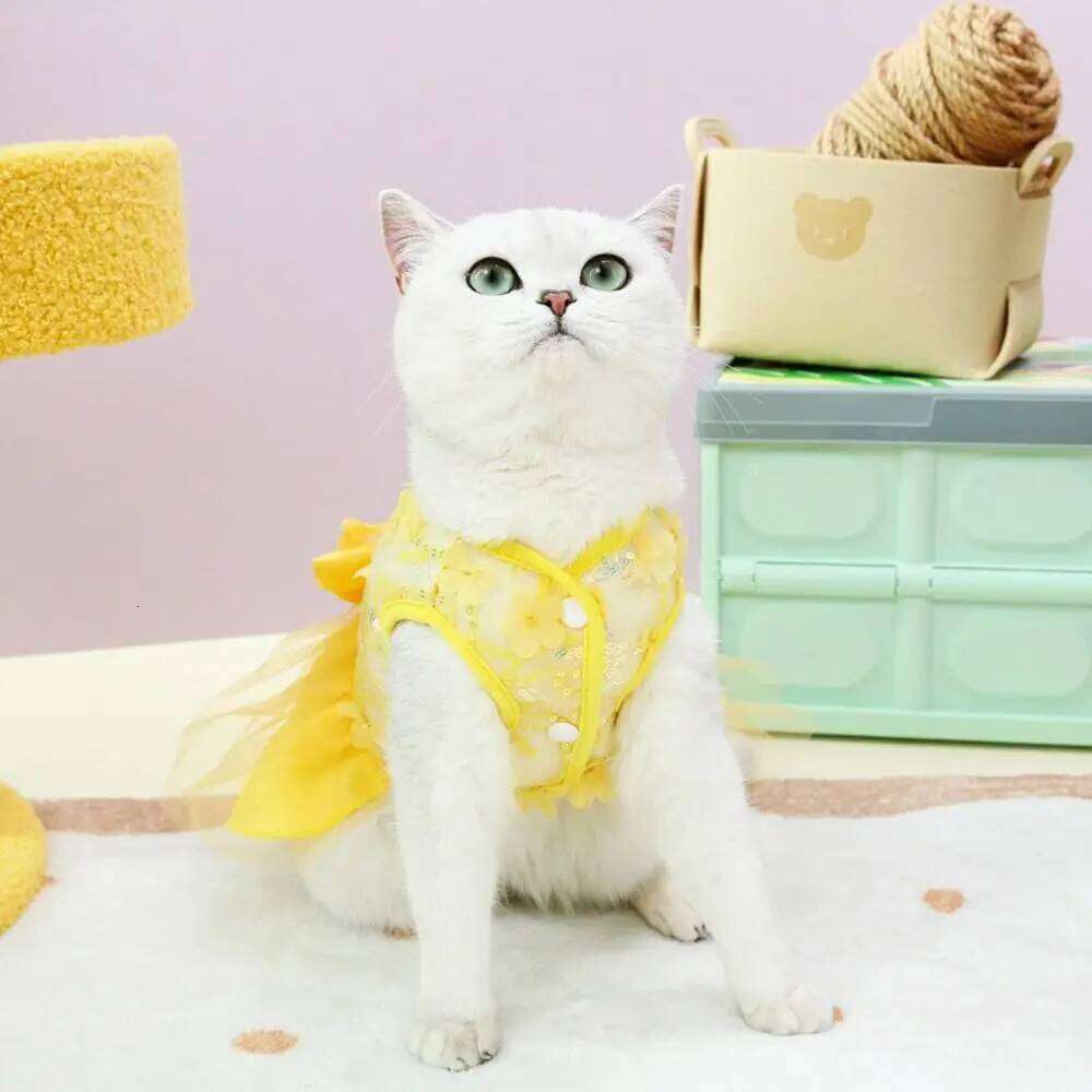 Comfortable Sweet Summer Princess Skirt Cute Soft Pet Clothes Breathable Thin Design Dog Vest Harness Autumn H260130