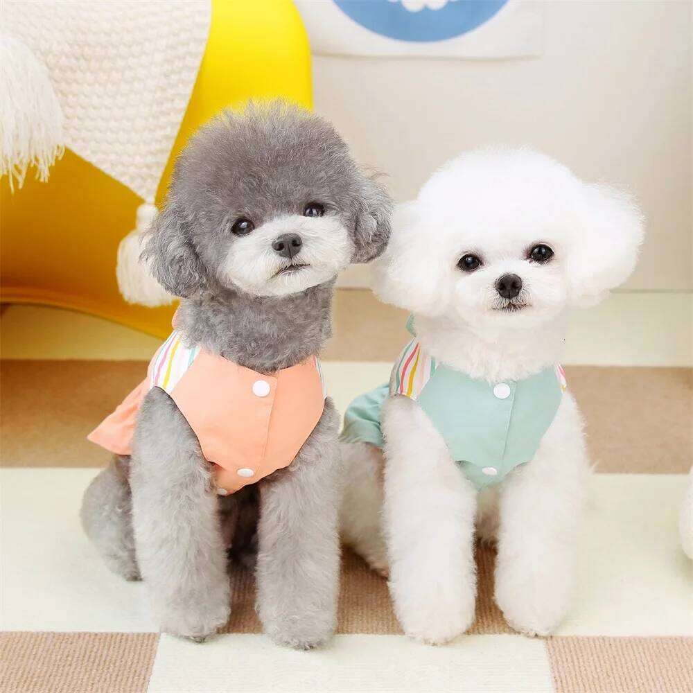 Spring Clothing for Small Dogs Summer Striped Puppy Princess Skirt Cute Cat Dress Pet Dog Costume Apparel H260130