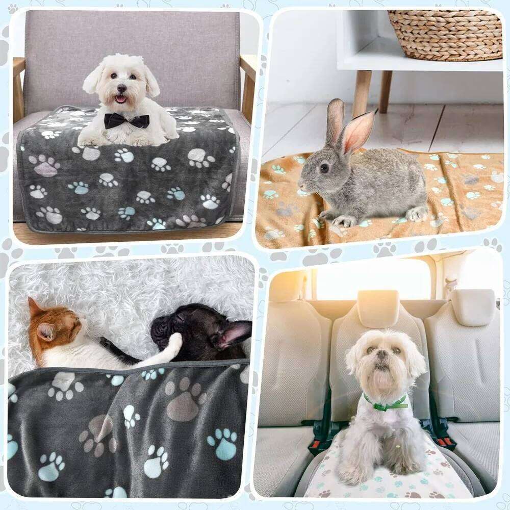 EFF Black Soft Fluffy High Quality Thick Style Double-sided Pattern Pet Mat Warm and Comfortable Blanket for Cat Dogs 26W01130