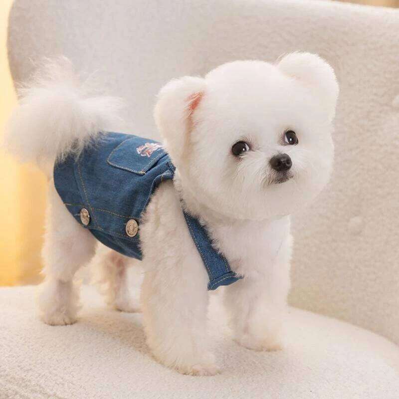 Comfortable Pet Denims Sweet Love Spring Small Dog Clothes Skirt for Outings and Gatherings H260129