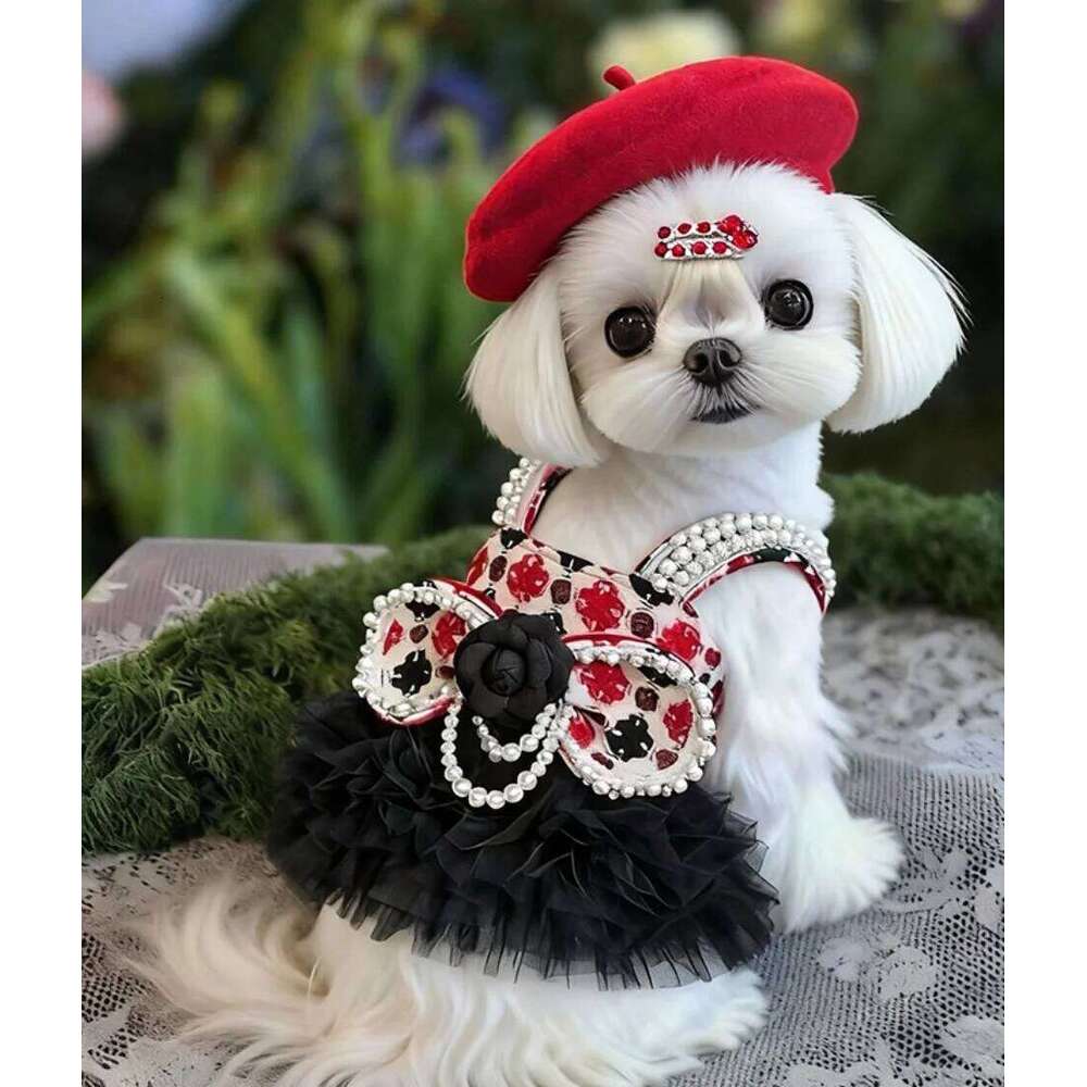 Gentry Girl-Style Pearl Bow Winter Halter Pet High-End Custom Dog Chiffon Dress H260129