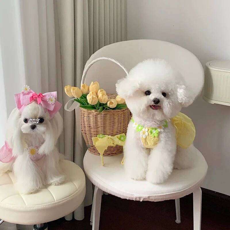 Ins Flower Strap Jacquard Embroidery Summer Sweet Outdoor Skirt Pet Suspender Dress Vest Dresses for Small Dog H260130