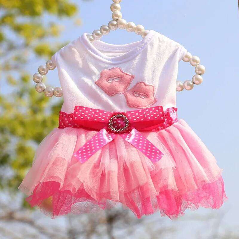 Sweet Princess for Small Dogs Spring Autumn Summer Puppy Lace Tutu Chihuahua Skirt Pet Apparel Dog Dress H260129