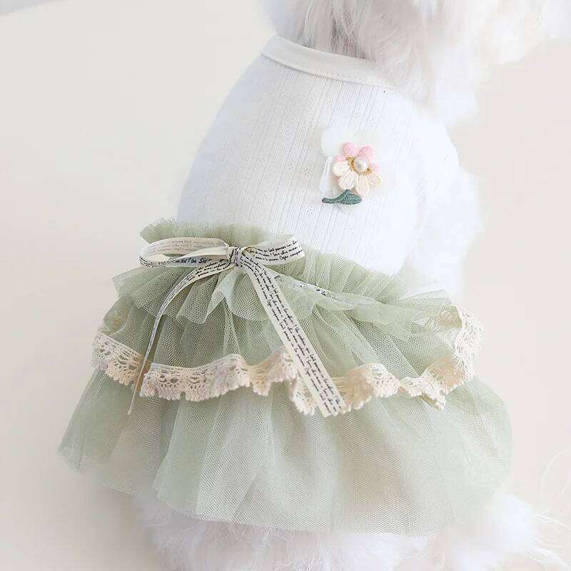 Korea Style Costumes For Dogs Girl Female Summer Spring New Baby Puppy Animal Kawaii Pink Green Pet Skrit Cat Apparel Supply H260129