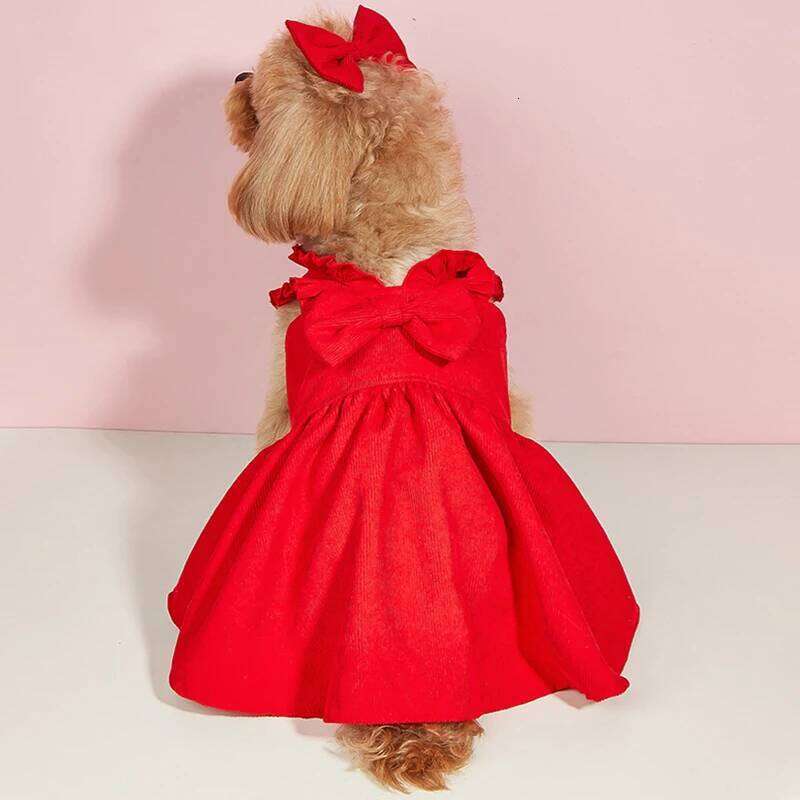 Pet skirts, autumn winter clothing, warm cute dresses, small and medium-sized dog Christmas pet supplies H260129