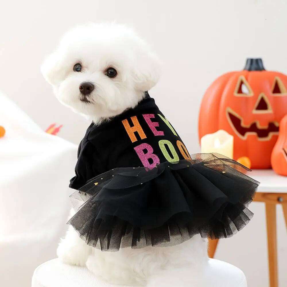 Puppy Costumes Two Legged Dress Soft Black Lace Skirt Comfortable Dog Pullover Halloween H260130