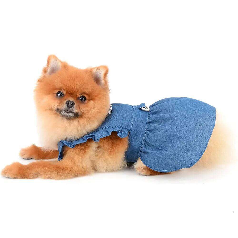 Denim Dresses Small Dogs Cats Cute Girl Dog Clothes Female Pet Dress Summer Puppy Outfits for Chihuahua Yorkie Shih Tzu H260130