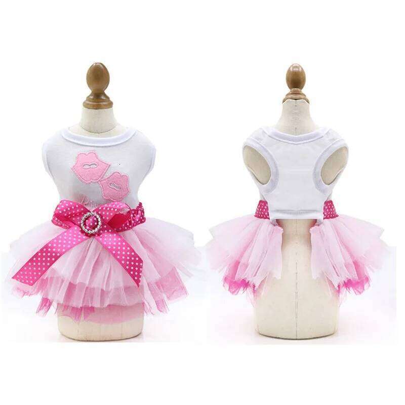 Sweet Princess for Small Dogs Spring Autumn Summer Puppy Lace Tutu Chihuahua Skirt Pet Apparel Dog Dress H260129