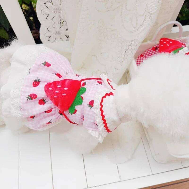 Strawberry Plaid Dog Dress - Summer Spring Small Medium Pet Apparel H260129