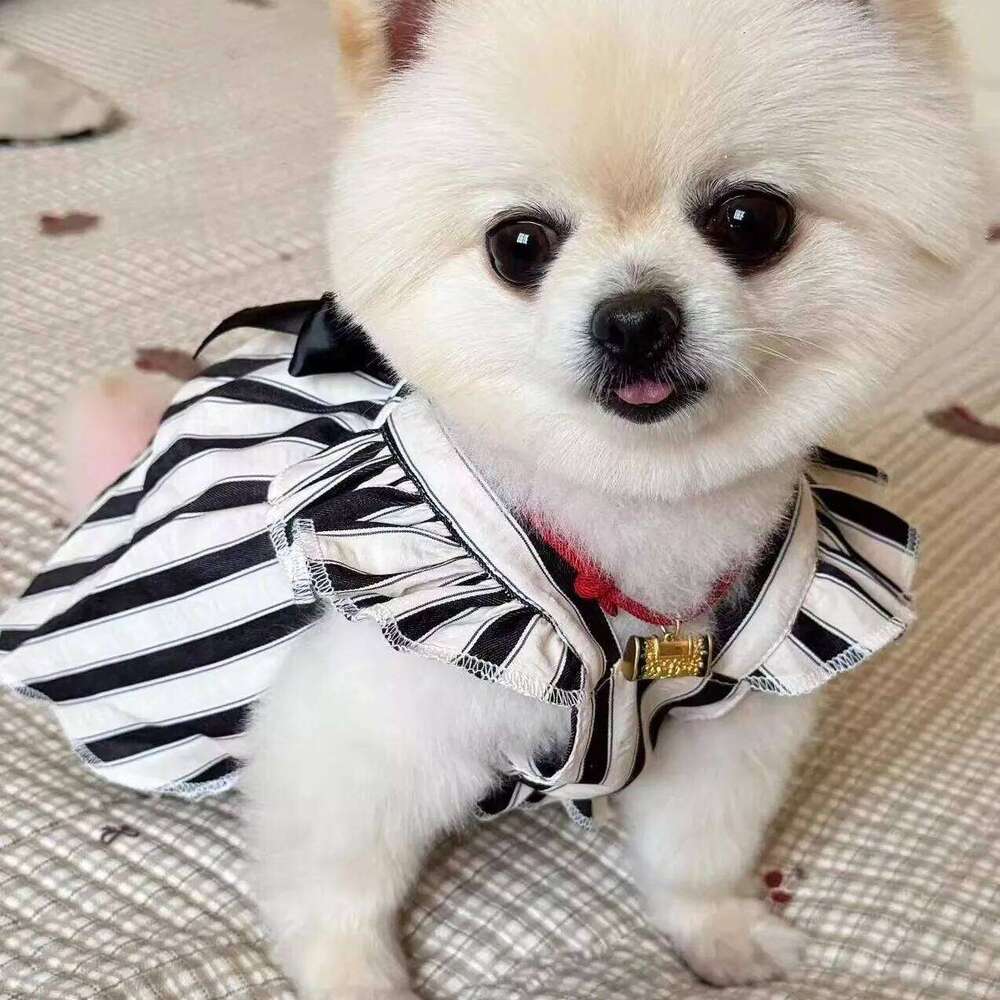Korean Version of the Pet Dress Summer Teddy Hepburn Style Princess Skirt Classic Vertical Stripes Puppy Clothes H260129