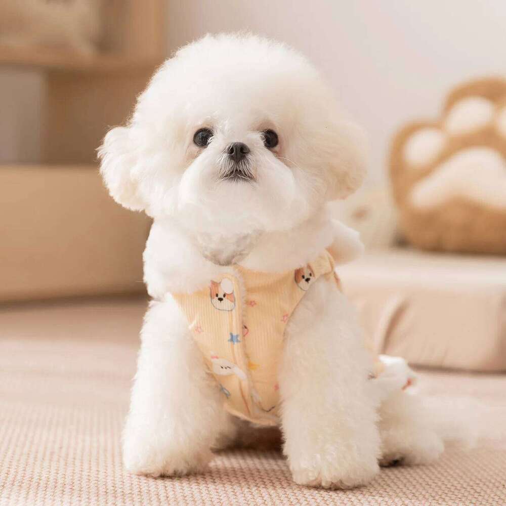 Autumn and Winter Pet Plush Rabbit Ear Coat Dress Medium Sized Teddy Cat Dog Dresses for Small Dogs Puppy Clothes H260129