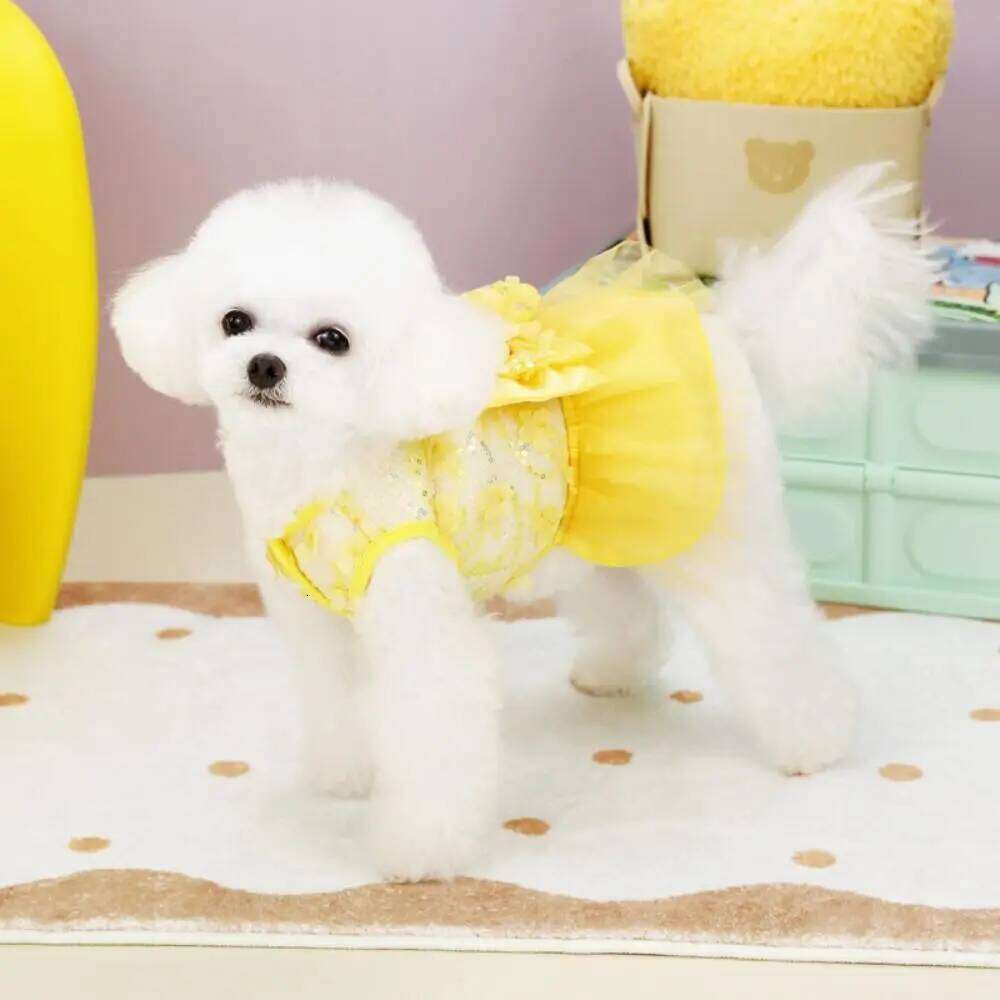 Comfortable Sweet Summer Princess Skirt Cute Breathable Dog Dress Thin Design Soft Pet Clothes Chihuahua Poodle H260130