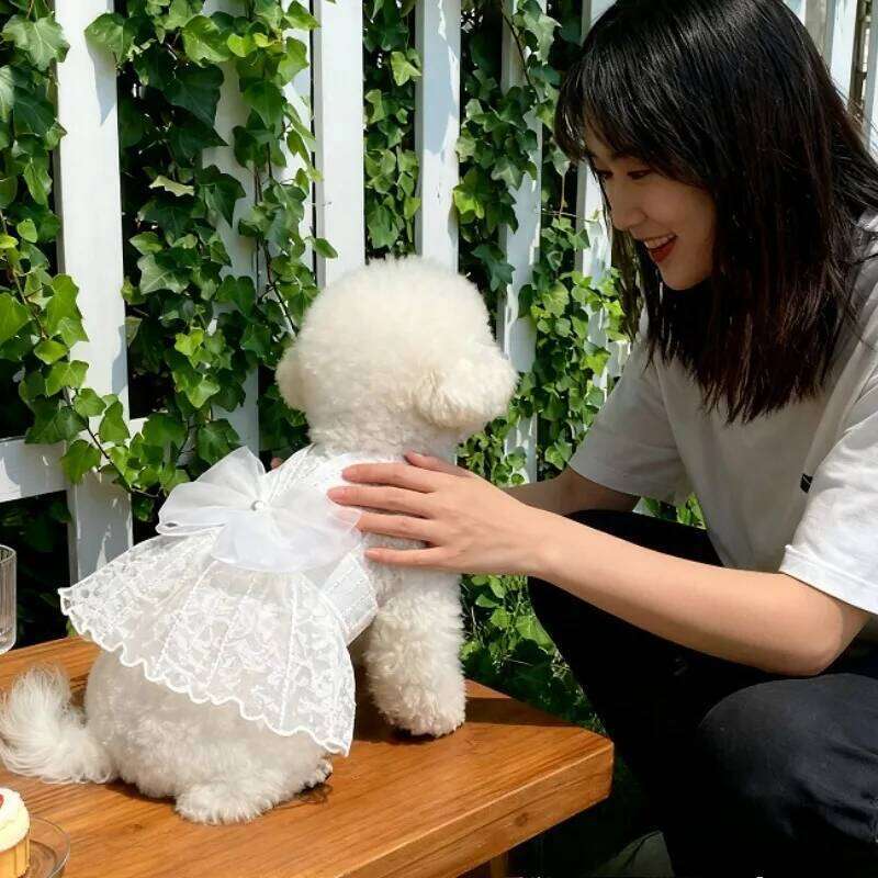 Dog Dresses for Small Dogs Wedding Dress Summer Mesh Strap ClothesThin Cat Princess Skirt Pet Puff SkirtTeddy H260130