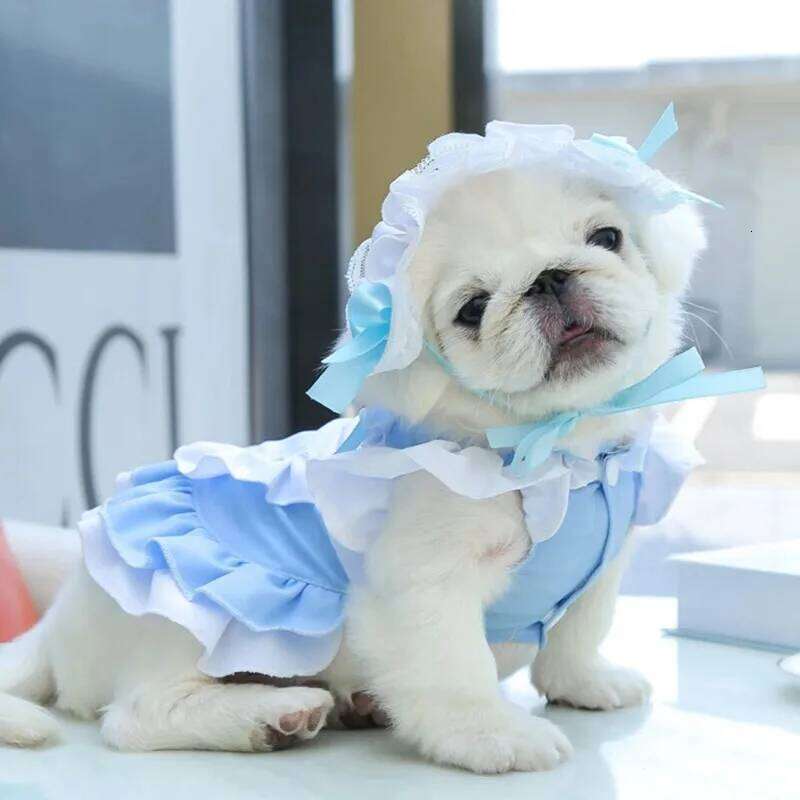 Spring Clothes Maid Dress For Small Dogs Cat Skirt Dog Summer Wedding Dresses for Chihuahua Yorkies Pet Clothing H260129