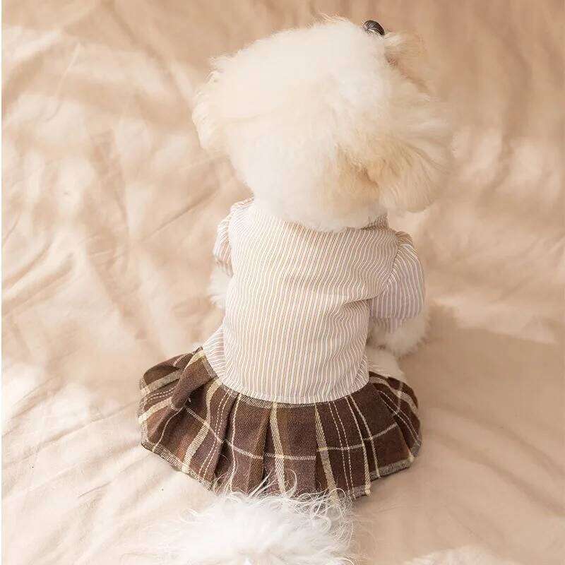 Bichon Frise Striped Two-legged Winter Teddy Dress Small and Medium-sized Warm Couple Clothes Female Dog Skirt H260130