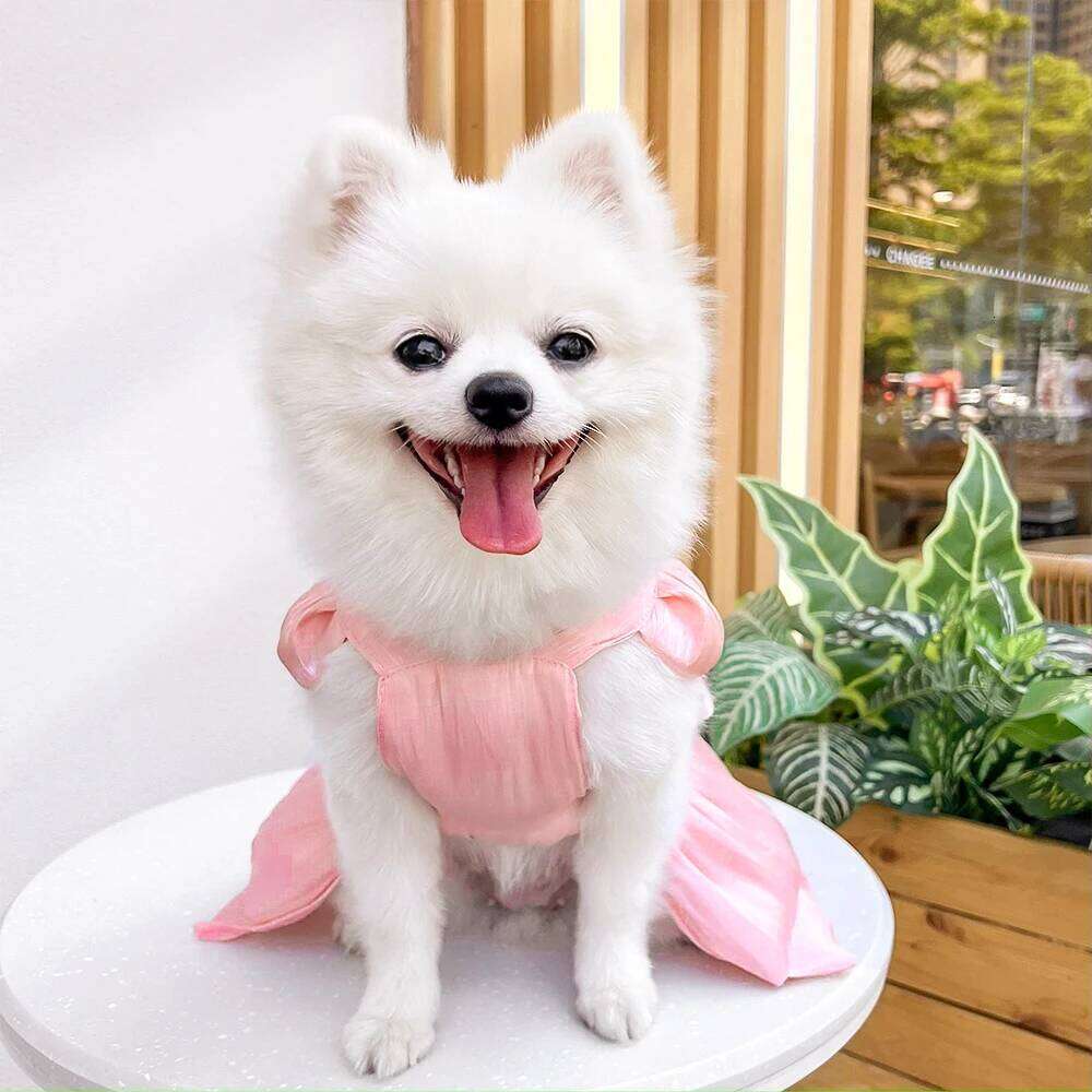 Big Bow Shiny Yarn Skirts Puppy Butterfly Summer Pet Skirt Princess Wedding Dress Cat Dog Bowtie Clothes H260130