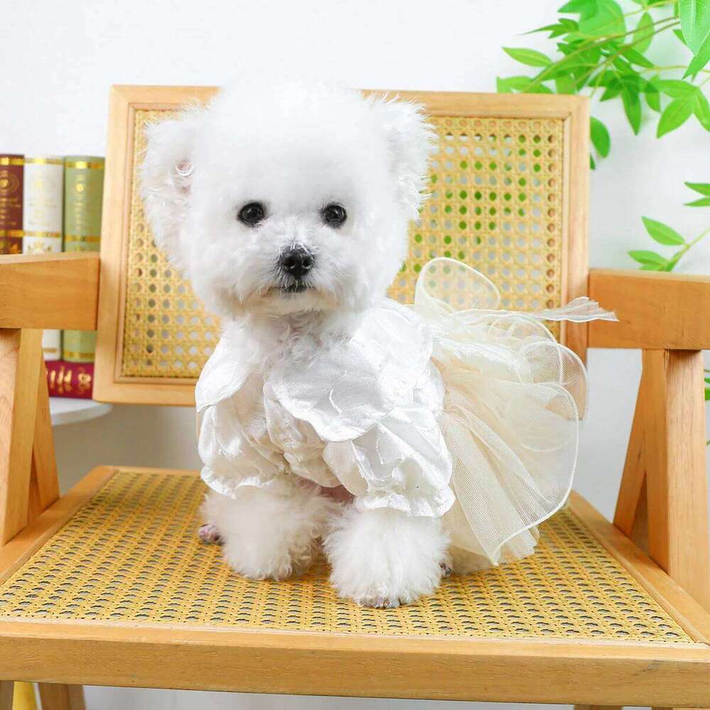 Figaro Wedding Pet Dog Cat Hair Loss Summer High Quality Princess Dress H260129