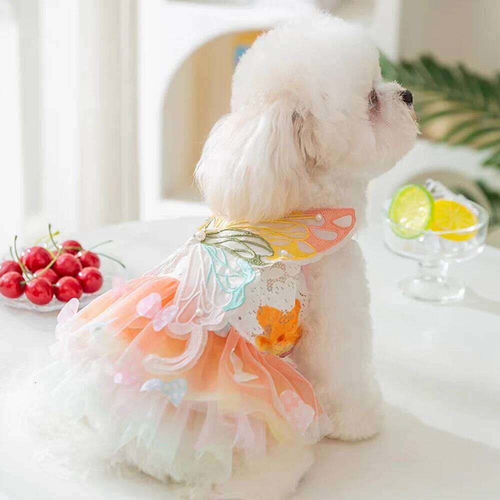 Princess Clothes Pet Rainbow Butterfly Dress For York Chihuahua Poodle Summer Dog Wedding Skirts Cat Dresses H260130