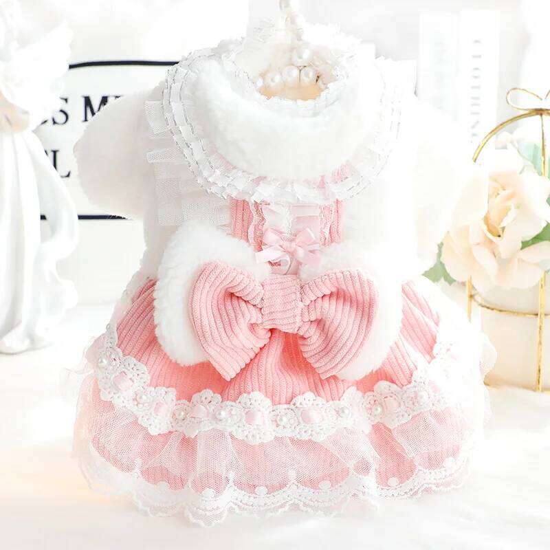 Clothes Autumn and Winter Thick Cat Princess Dress Bow Lace Small Dog Teddy Pet Supplies H260129