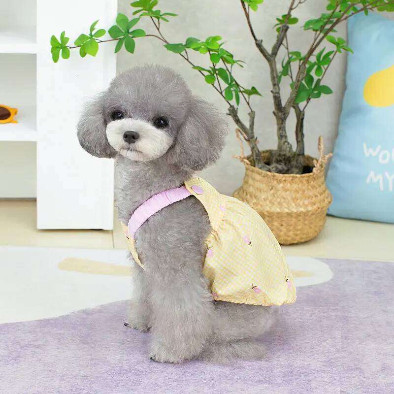 Summer Pet Lovely Plaid Print Dress Chihuahua Teddy Girl Clothes Cat Puppy Suspender Skirt Dog Costume H260129